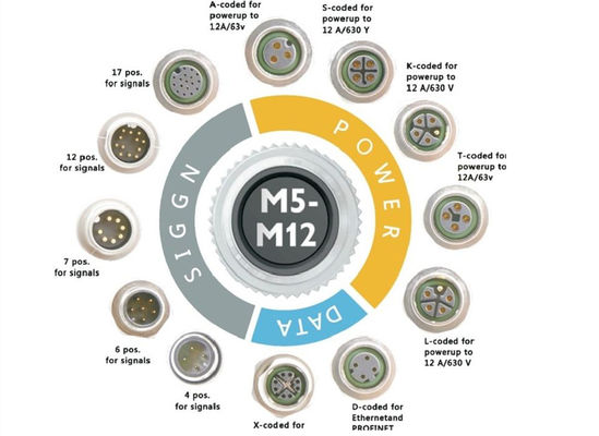M12-Reihe Runddrahtanschluss Steckdose 12-Pin-Hinterschraubenplatte Montage
